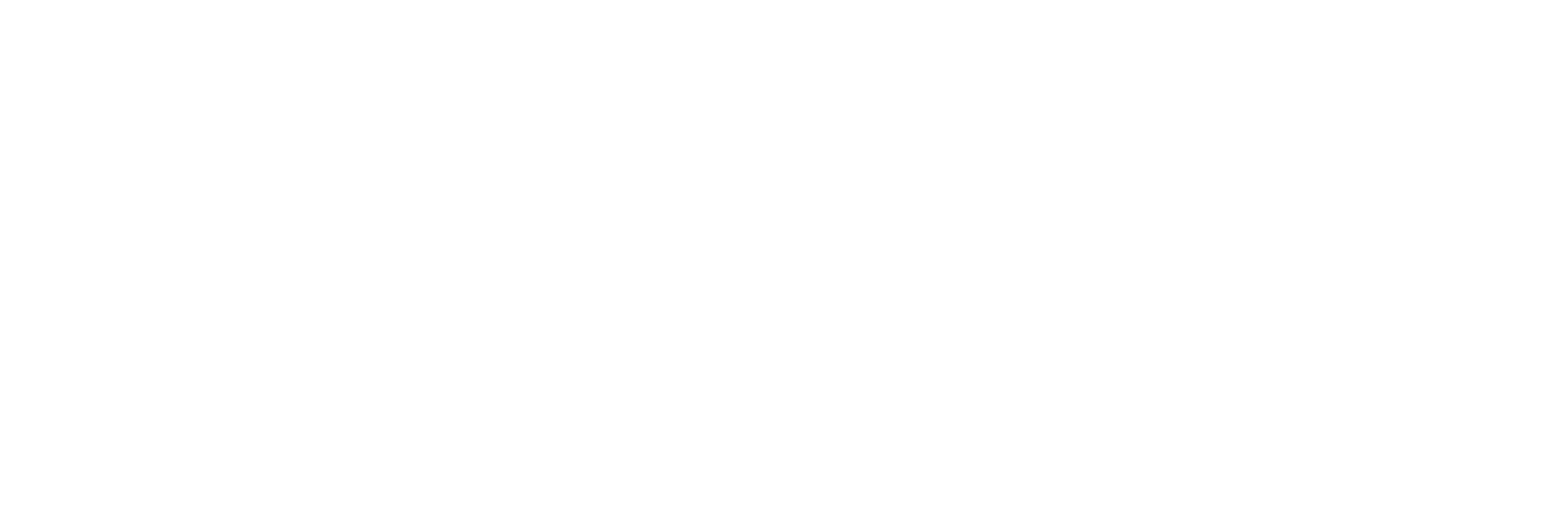 PayrAdvisors logo